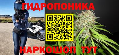 гашик Новокубанск