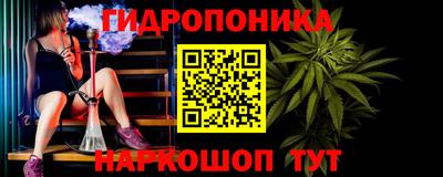 гашик Новокубанск