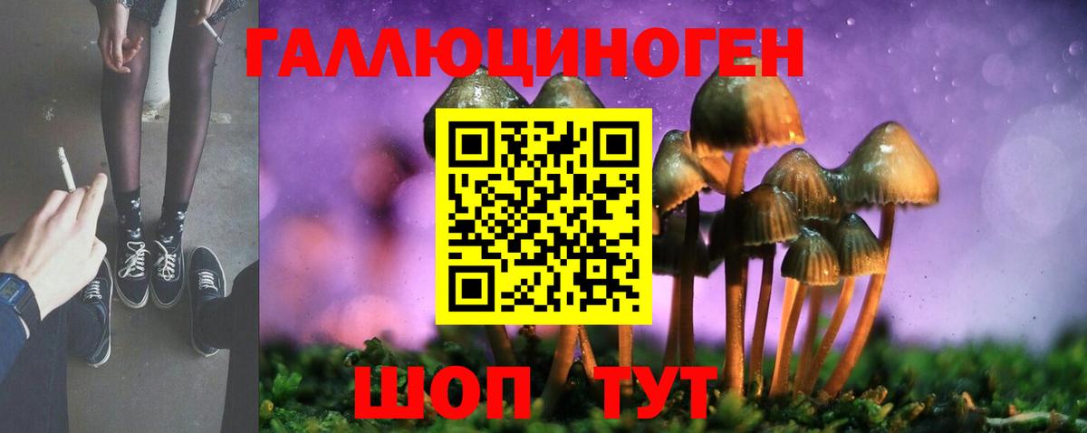 Псилоцибиновые грибы Psilocybine cubensis  Вход с VPN  Галлюциногенные грибы Psilocybe  Саянск 